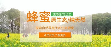 油菜花蜂蜜/蜜蜂红包公众号首图