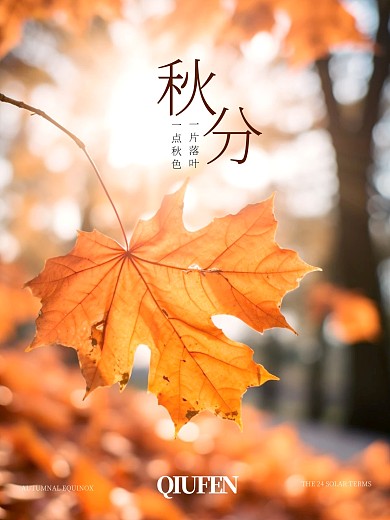 清新秋分PLOG模板