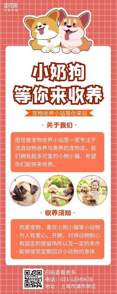 动物营销长图海报橙色简约简洁摄影宠物