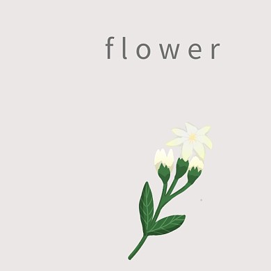 花线条白色手机微博封面模板