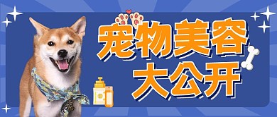 宠物美容大公开