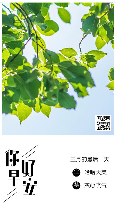 清晨阳光树叶治愈日签