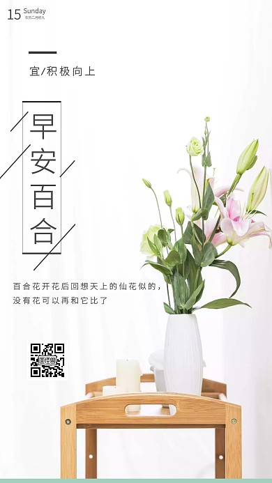 白色简约清新百合早安日签