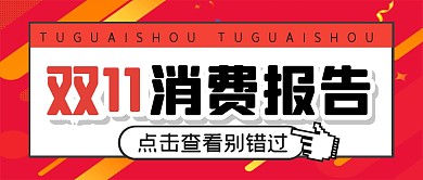 双11购物节消费报告指南公众号封面首图