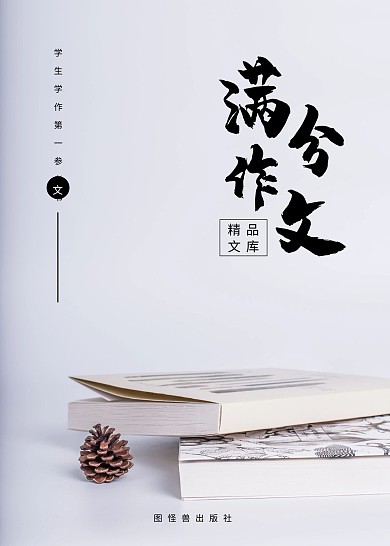 简约大气直观作文书教育书籍封面