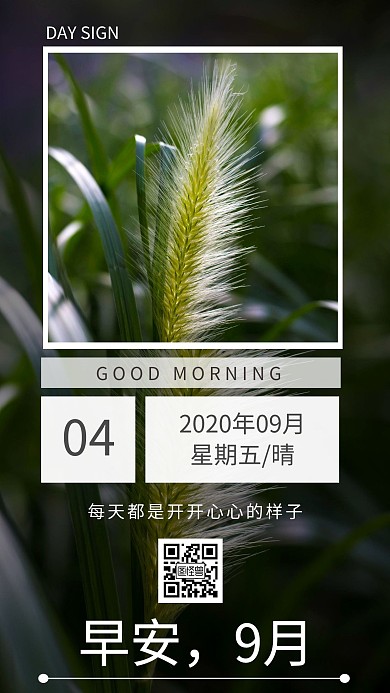 简约摄影背景9月4日早安	