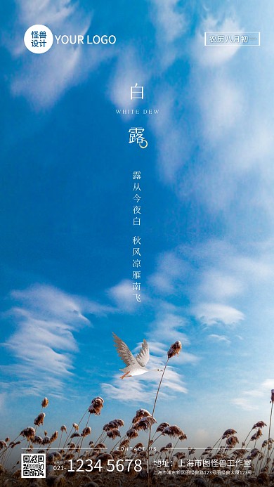 简约白露节气宣传摄影图海报