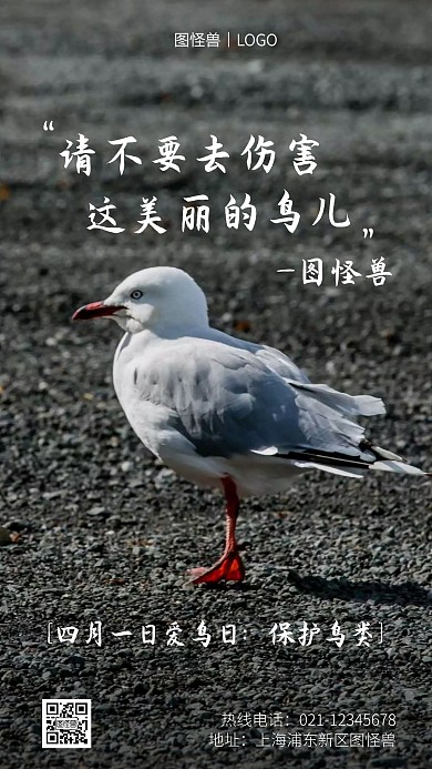 爱鸟日保护鸟类白色简约风手机海报