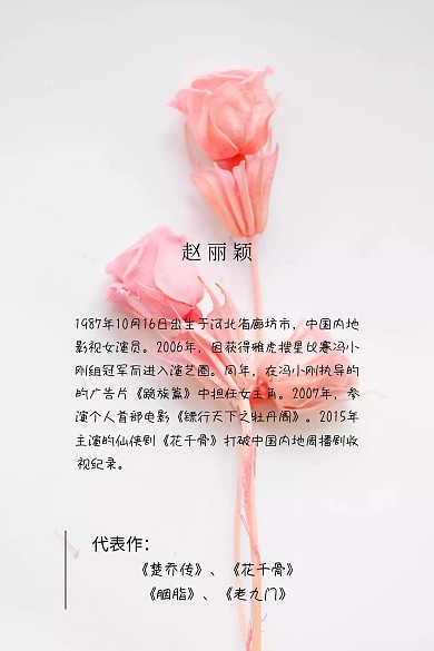 赵丽颖人物简介白色竖版配图