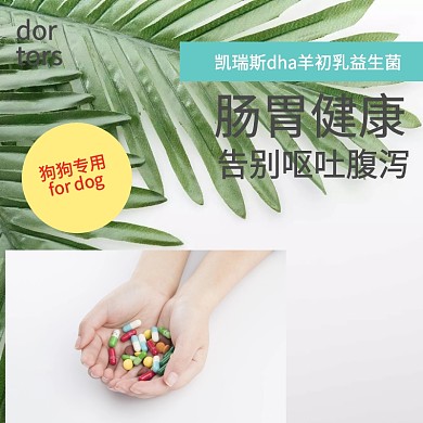 狗狗益生菌 宠物用品主图 医药