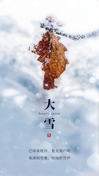 简约清新冬天大雪节气摄影图海报