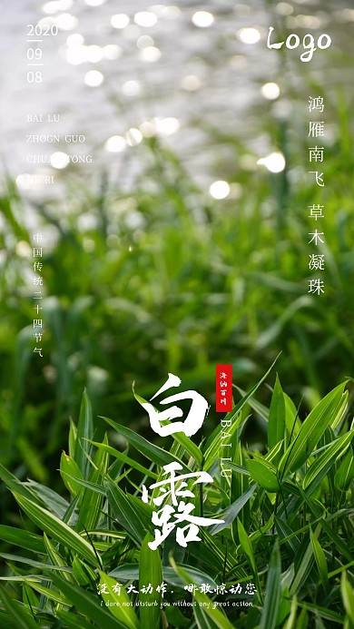摄影风绿色大气白露节气借势海报