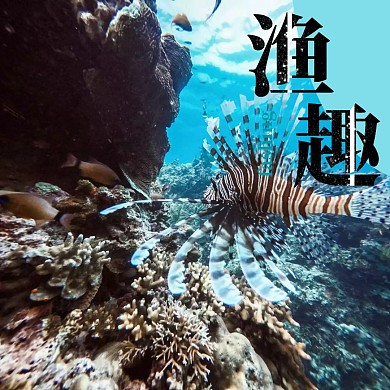 钓鱼 鱼