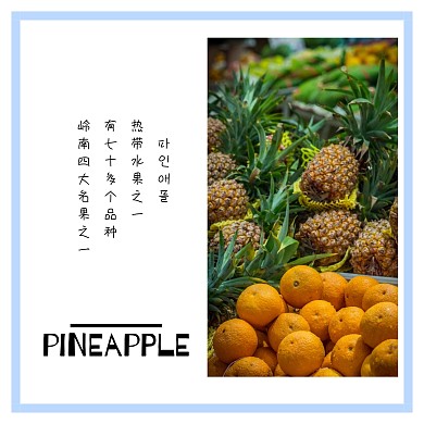 水果菠萝简约白色方形配图