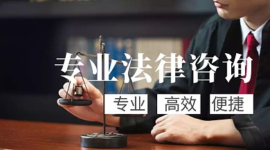专业法律咨询服务
