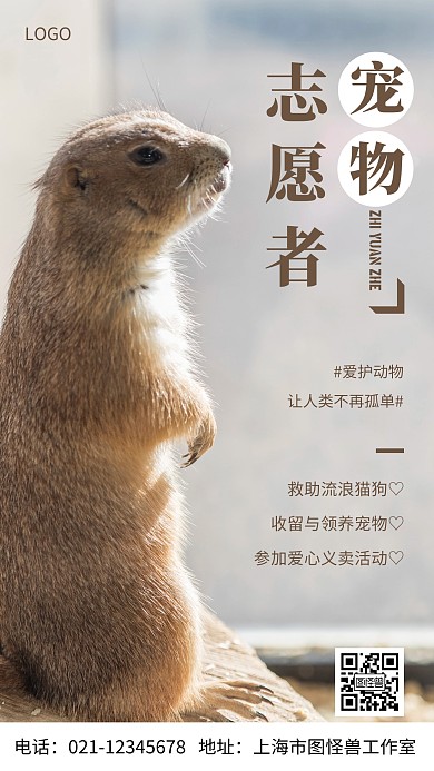 摄影图宠物志愿者褐色简约风手机海报
