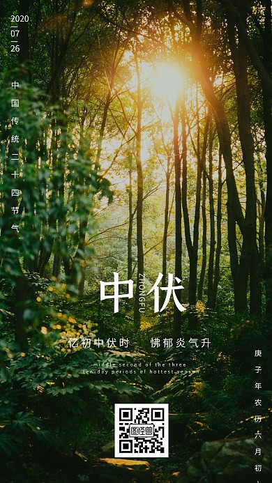 森林极简风格夏天三伏天中伏手机海报