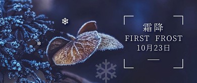 简约摄影风霜降节气问候祝福公众号封面首图