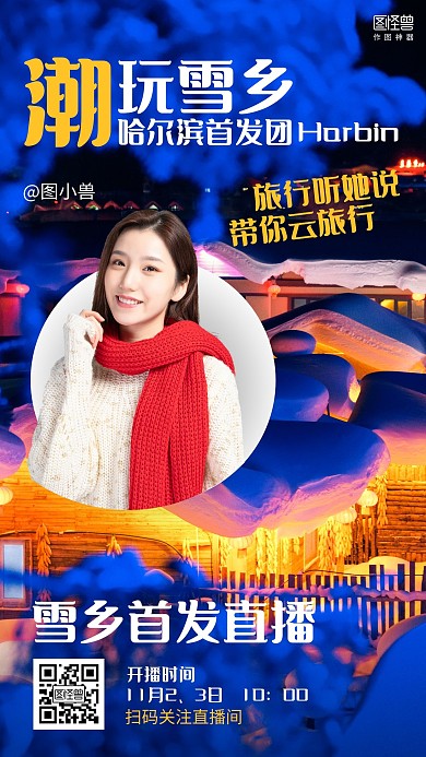 简约摄影冬季旅游优惠直播海报