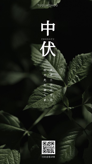 简约三伏天起伏中伏绿色植物手机海报