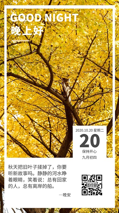 晚安银杏每日一签