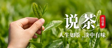 绿色简约创意说茶公众号封面首图