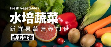 水培蔬菜水果蔬菜大气公众号封面