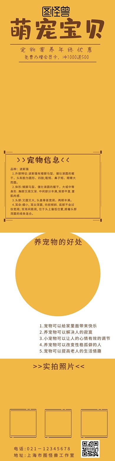 淘宝宠物详情背景	