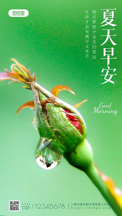夏天早安唯美小清新微距摄影图手机海报