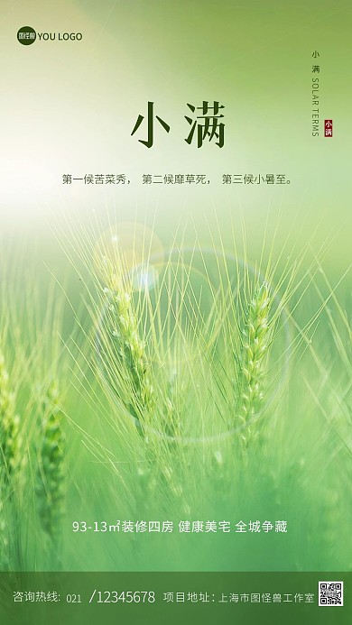 小满节气绿色谷物质感大气摄影图海报