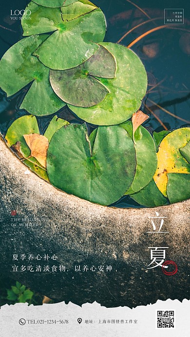 摄影清新荷叶立夏饮食科普手机海报