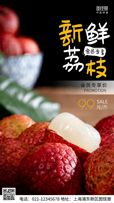 摄影图会员专属优惠黑色简约风手机海报