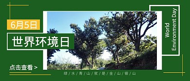 6.5世界环境日创意红包公众号