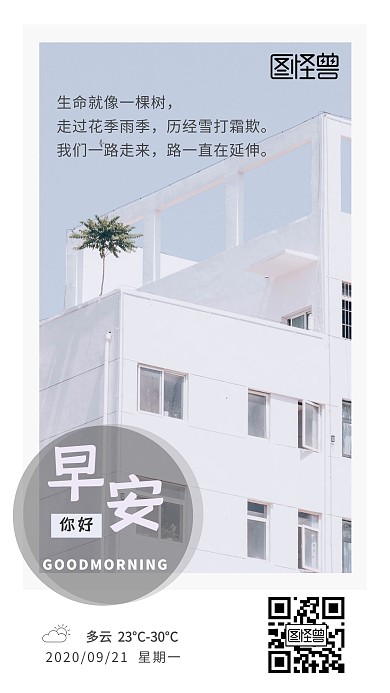 早安问候你好白色简约摄影日签