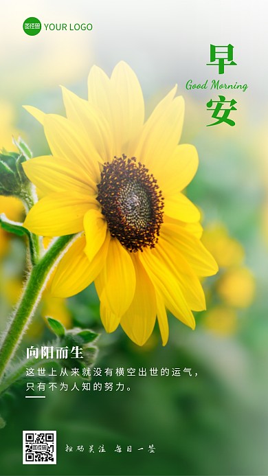 秋天葵花向日葵早安激励语录日签设计