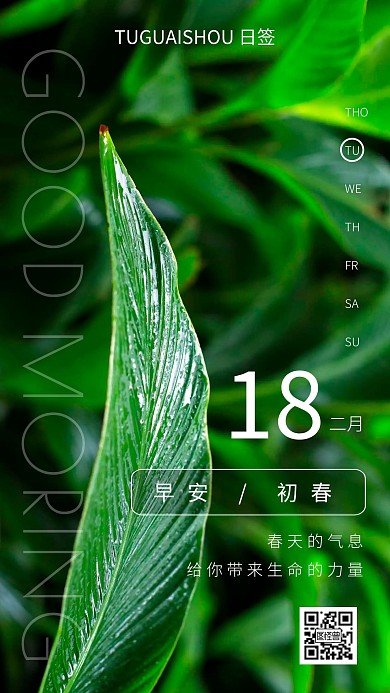 初春早安摄影风简约日签