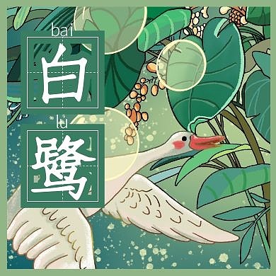 清新卡通插画绿色白鹭白露节气封面次图