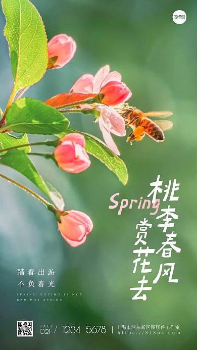 简约桃李春风去赏花宣传摄影图海报
