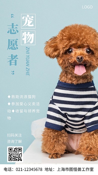 摄影图宠物志愿者白色简约风手机海报