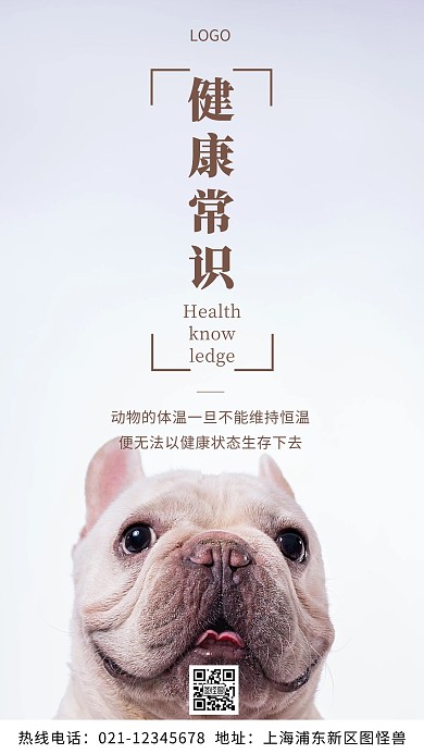 宠物健康常识棕色宣传摄影图海报