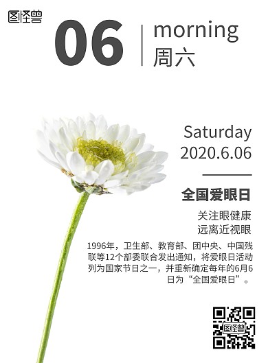 简约清新风全国爱眼日日历宣传海报
