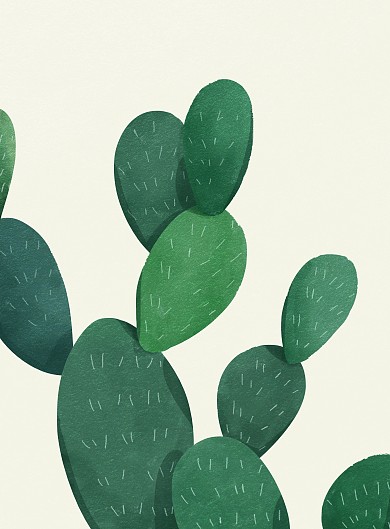 田园风格仙人掌装饰画