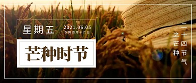 芒种节气问候祝福公众号封面首图 