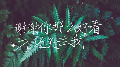 植物摄影图感谢关注关注主题抖音背景图
