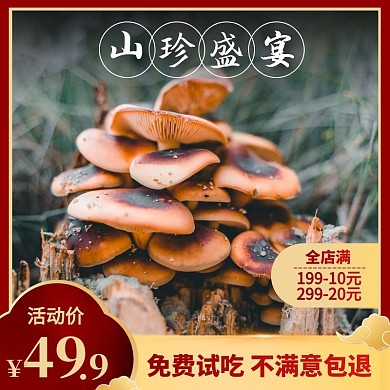 山珍盛宴野生蘑菇红色中国风主图直通车