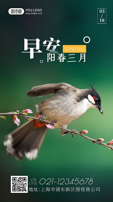 绿色简约摄影鸟儿2021早安图片春天日签