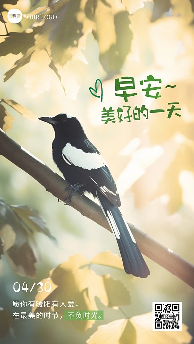 简约可爱萌宠早安问候日签摄影图海报