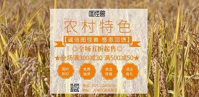 农村特色精品店海报