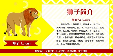 动物简介狮子黄色卡通动物简介展板宣传
