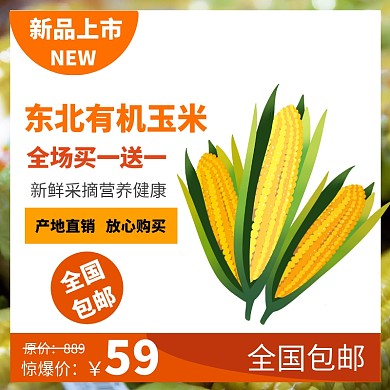 新品上市天猫淘宝直通车食品水果主图